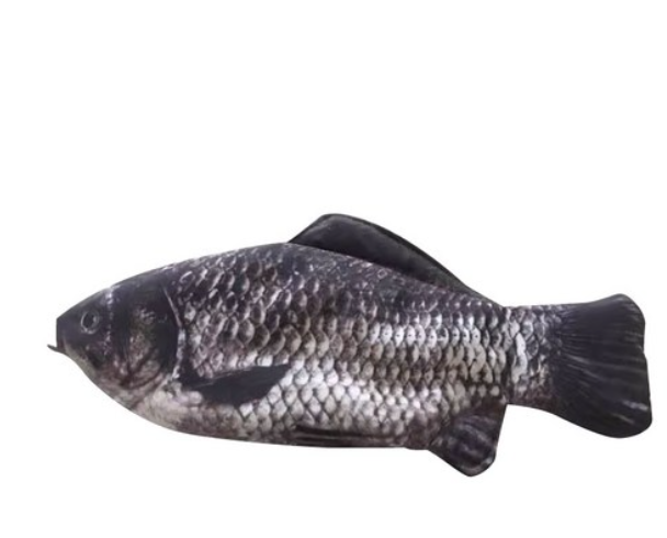 리빙릿 리얼 생선필통 참돔