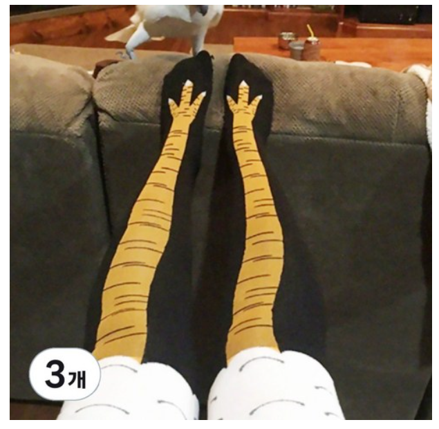 허니잼 닭발양말 세트